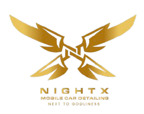 NIGHTX Logo
